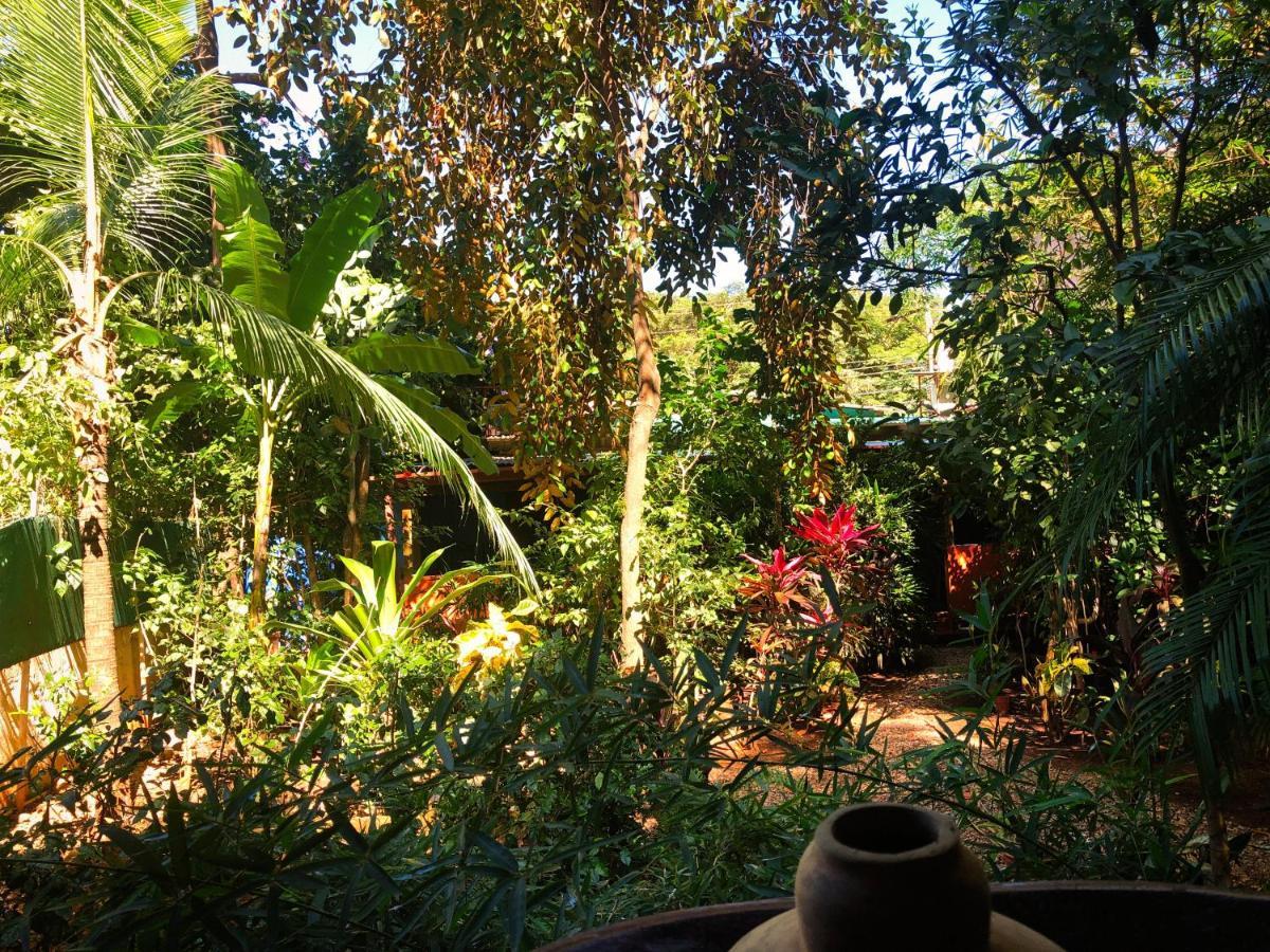 Casa Smilin' Dog Apartment Tamarindo Bagian luar foto