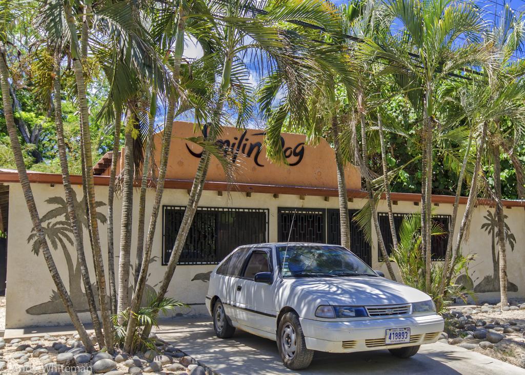 Casa Smilin' Dog Apartment Tamarindo Bagian luar foto