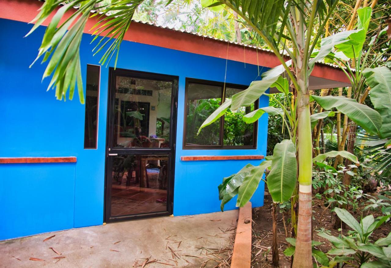 Casa Smilin' Dog Apartment Tamarindo Bagian luar foto